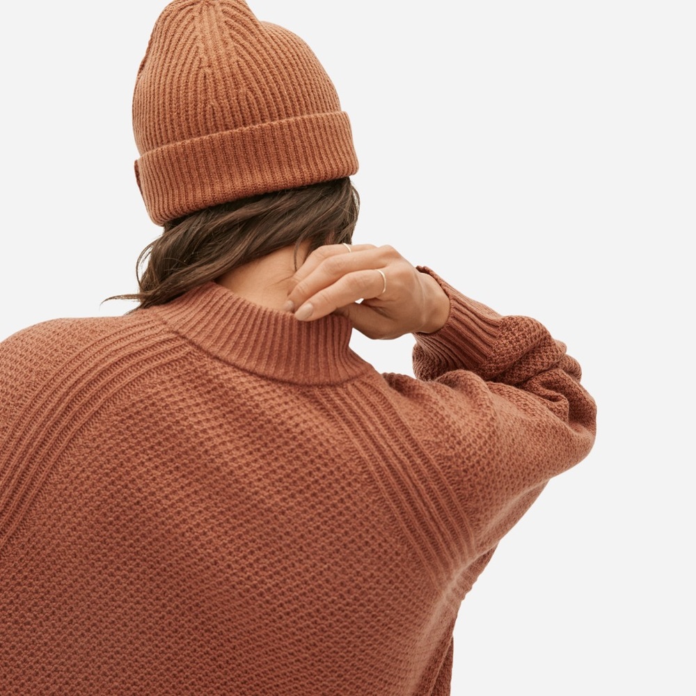 NWT Everlane Oversized Stroopwafel Crew ReCashmere - Picture 3 of 10
